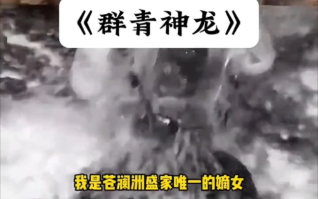 【群青神龙】我是苍澜州盛家唯一的嫡女应昭天命而生我娘不稀耗尽灵元为我塑纯灵之体,我爹更是踏遍九州为我寻来世上唯一的神龙蛋哔哩哔哩bilibili