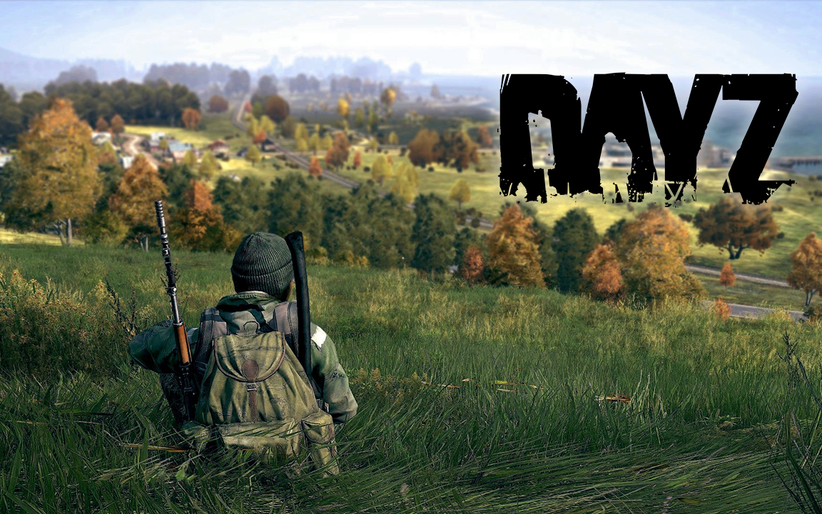 《dayz》#03 利沃尼亚乡村之行单机游戏热门视频