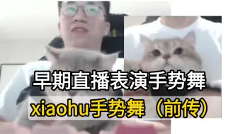 Скачать видео: 小虎手势舞前传！xiaohu23年直播和麻薯一起跳手势舞，经典，才过了一年半怎么这么圆润了😂😂 bhjl