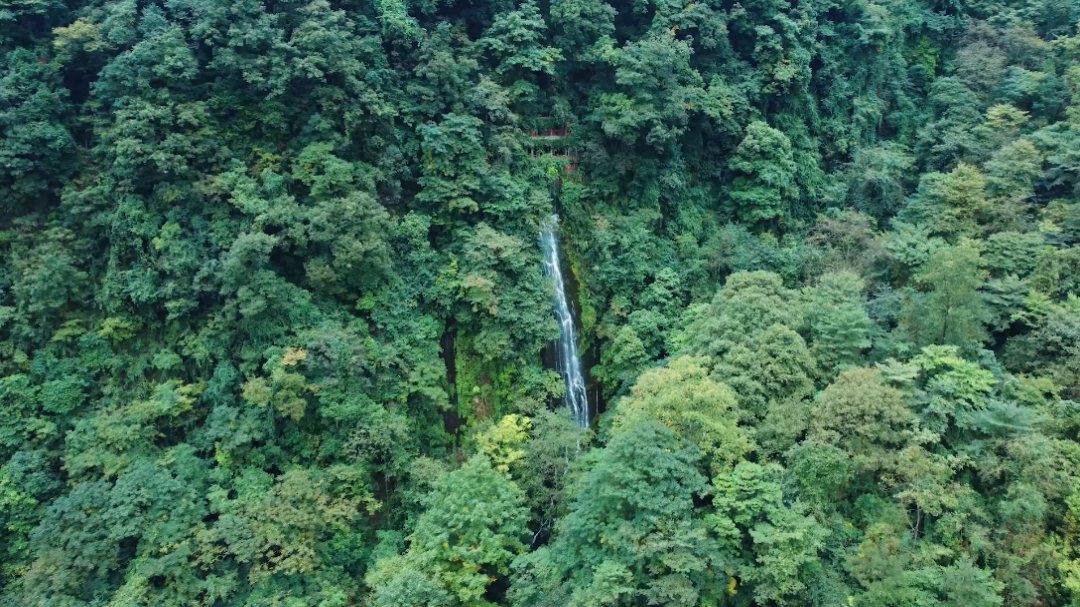 青城后山神仙洞图片