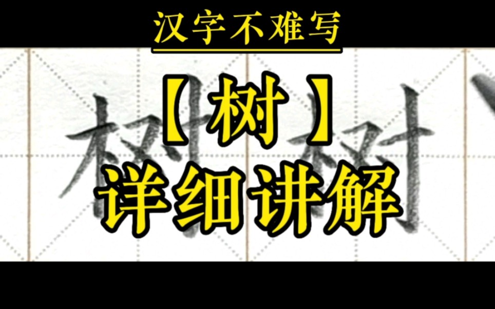 [图]【树】和组词【树木】的书写。一年级下册语文课文12《古诗二首》生字