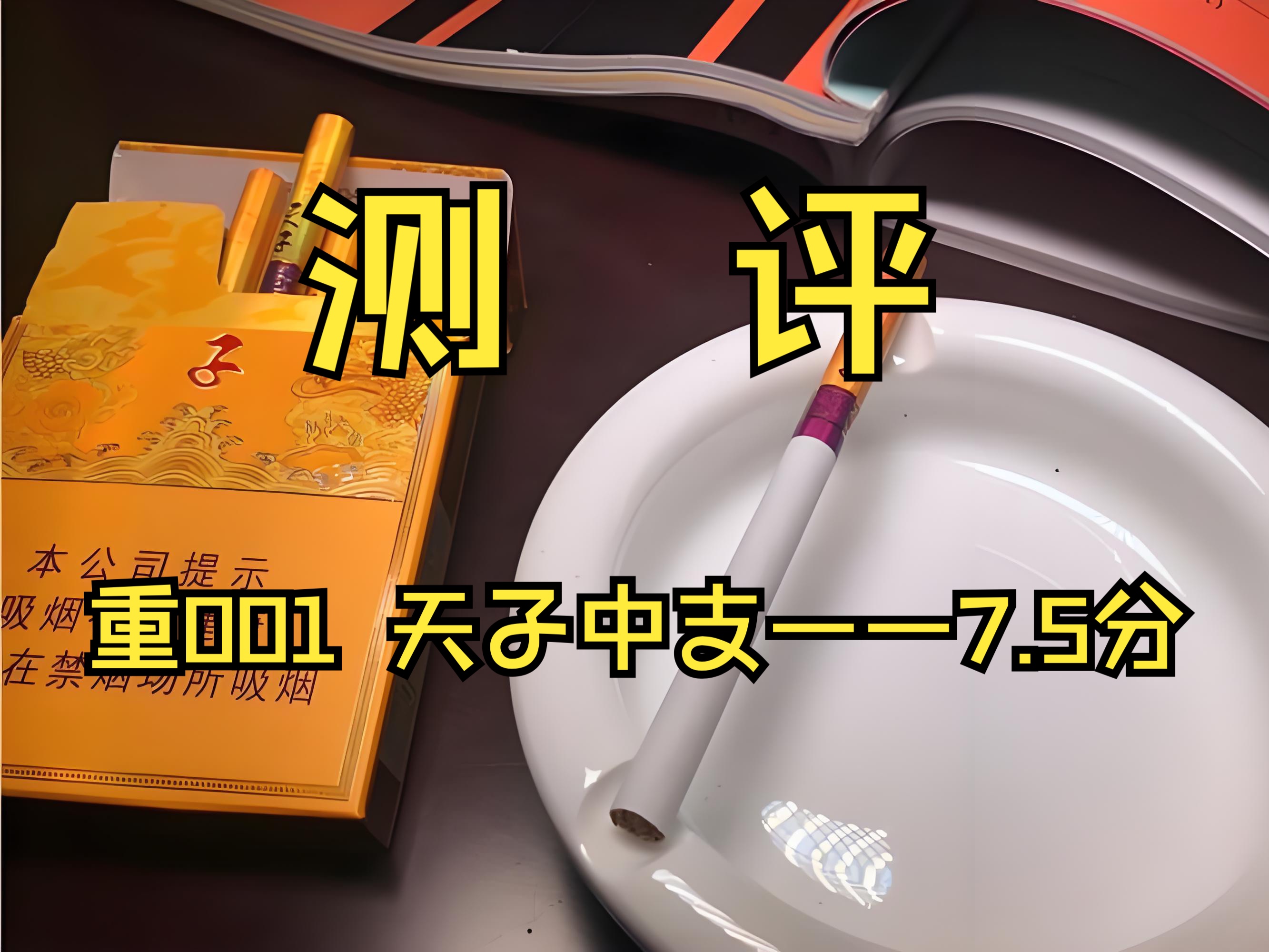 (重001)天子中支