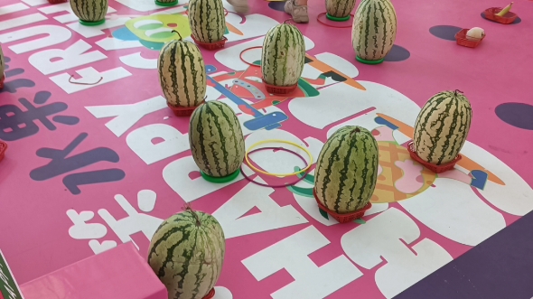 现在就已经套西瓜了吗?