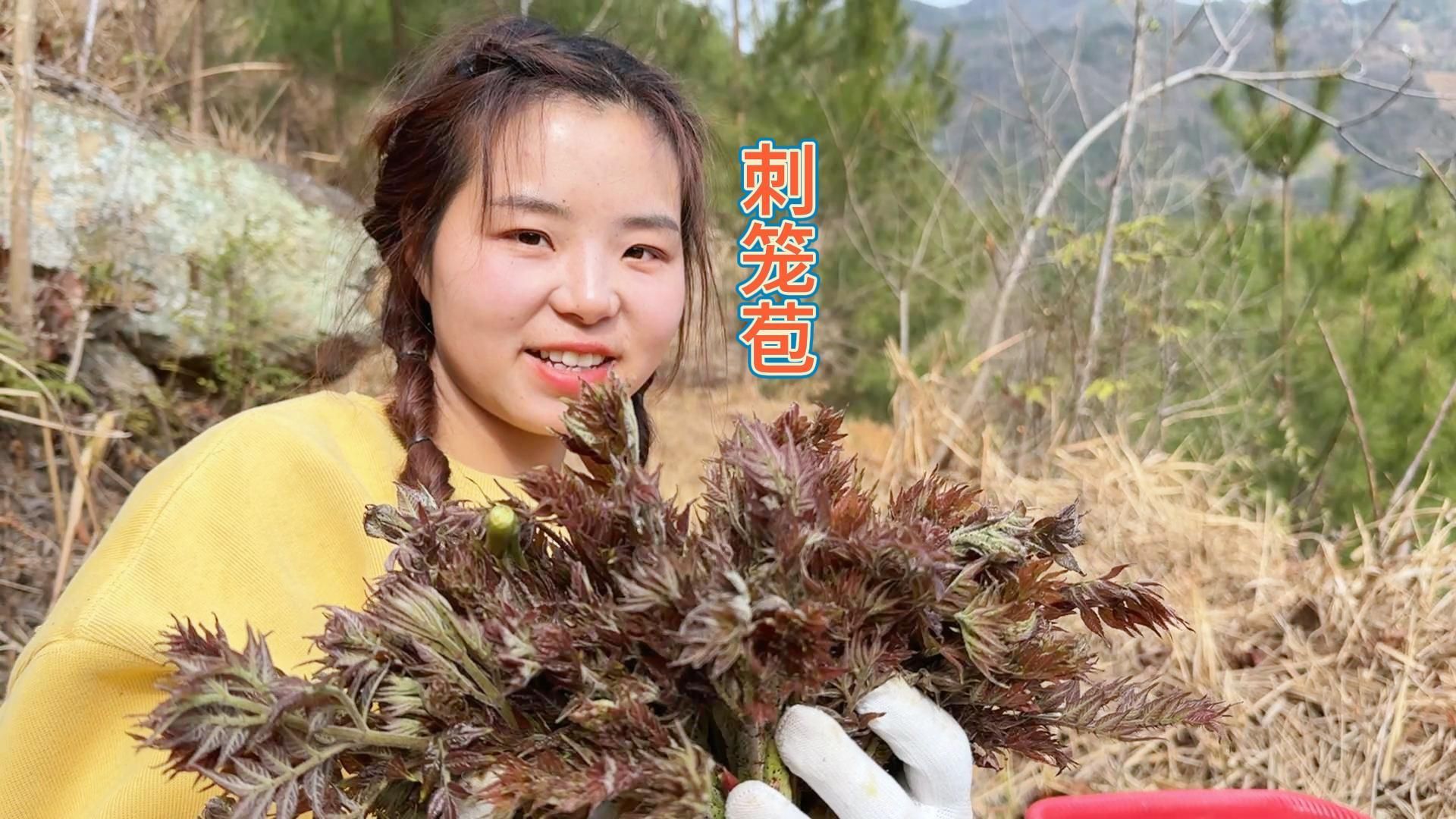 小八上山打刺笼苞,被扎的直叫唤,幸好收获不错吃着也香哔哩哔哩bilibili