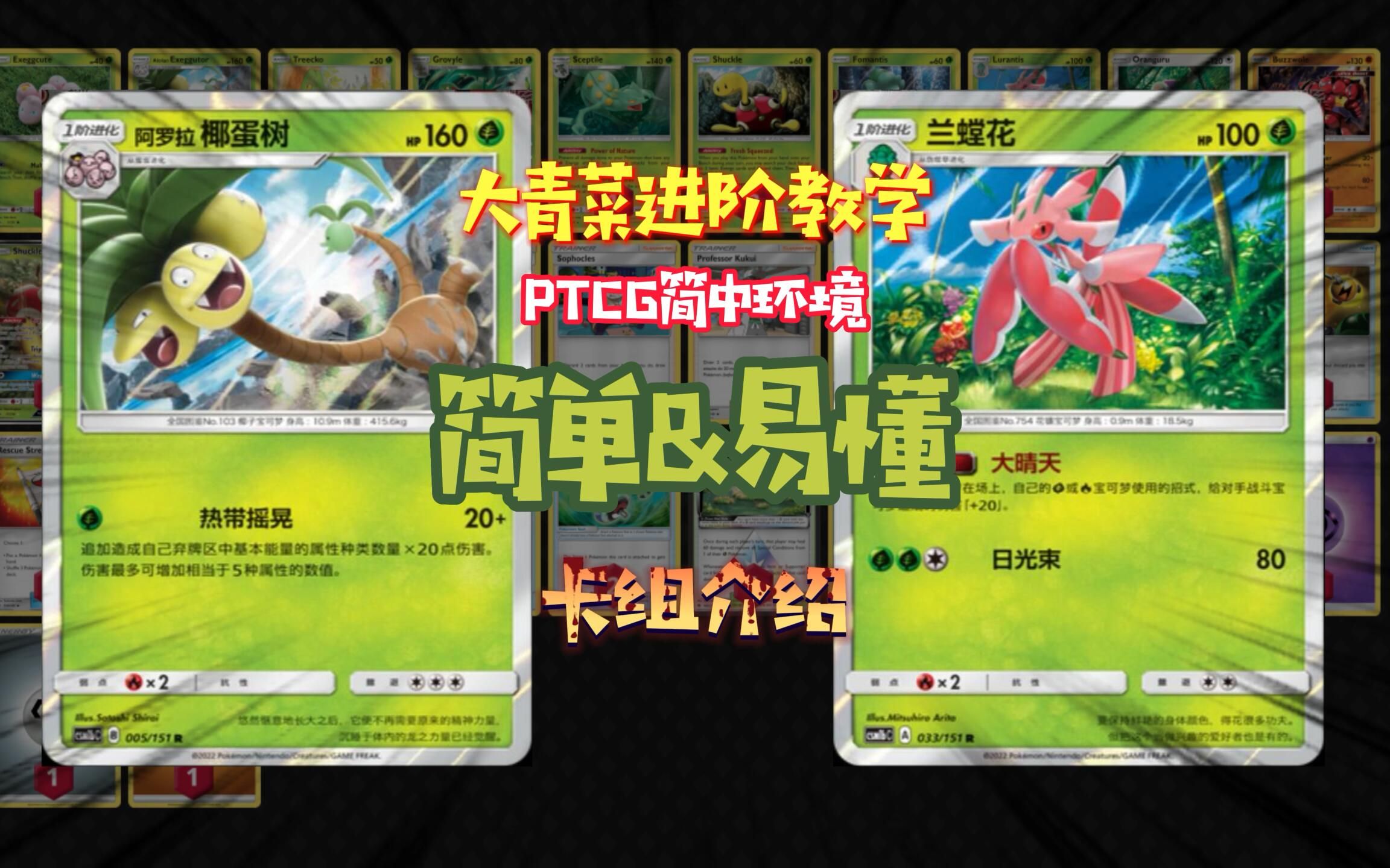 大青菜 精灵宝可梦卡牌 PTCG 简体中文环境 阿罗拉椰蛋树 卡组介绍