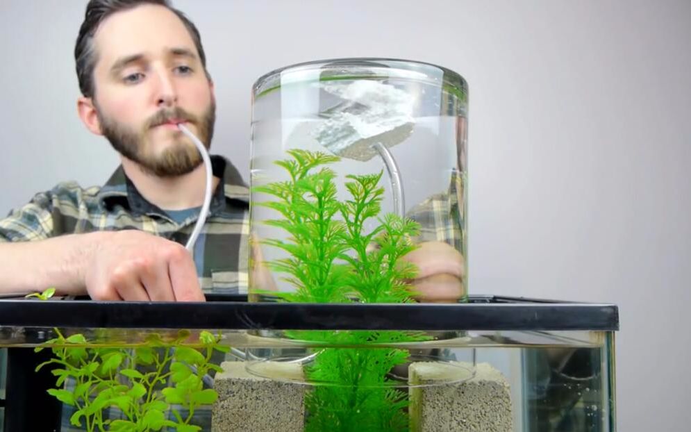 鱼儿水上观景台 真空悬浮鱼缸制作技巧@风迷精选