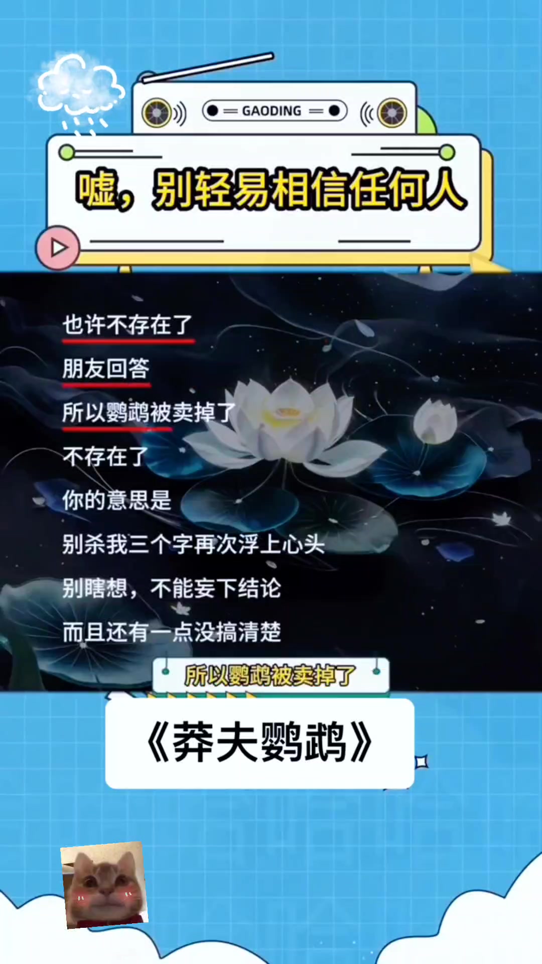 莽夫鹦鹉哔哩哔哩bilibili