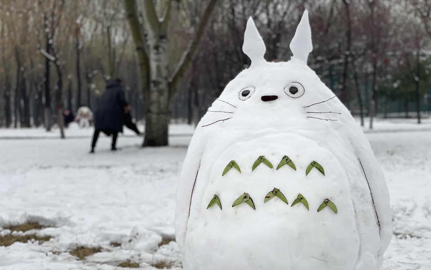 下雪了!堆个龙猫吧!