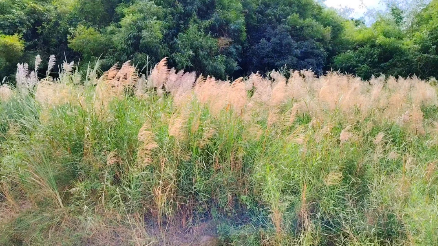海丰梅陇镇天星湖景色 广东汕尾