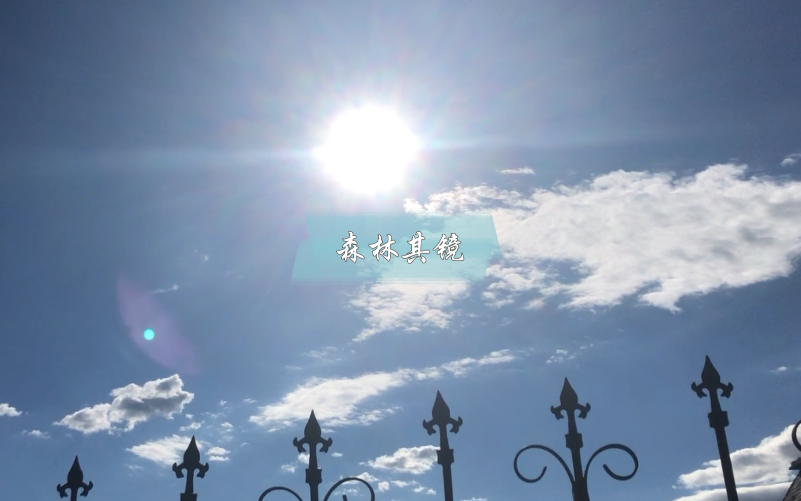 2021年8月天气记录晴天