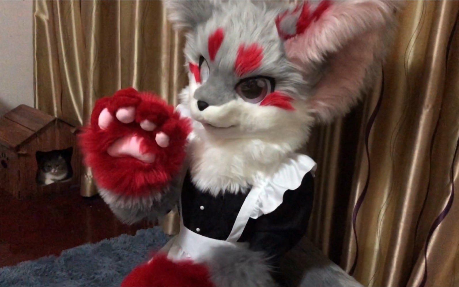 [图]【兽装fursuit】男仆狸猫和他的猫