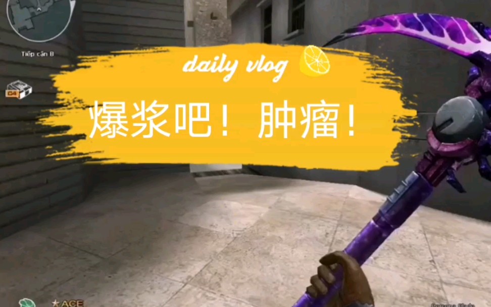 [cf威廉]越南服躲猫猫,爆浆的肿瘤和猪大肠_哔哩哔哩_bilibili