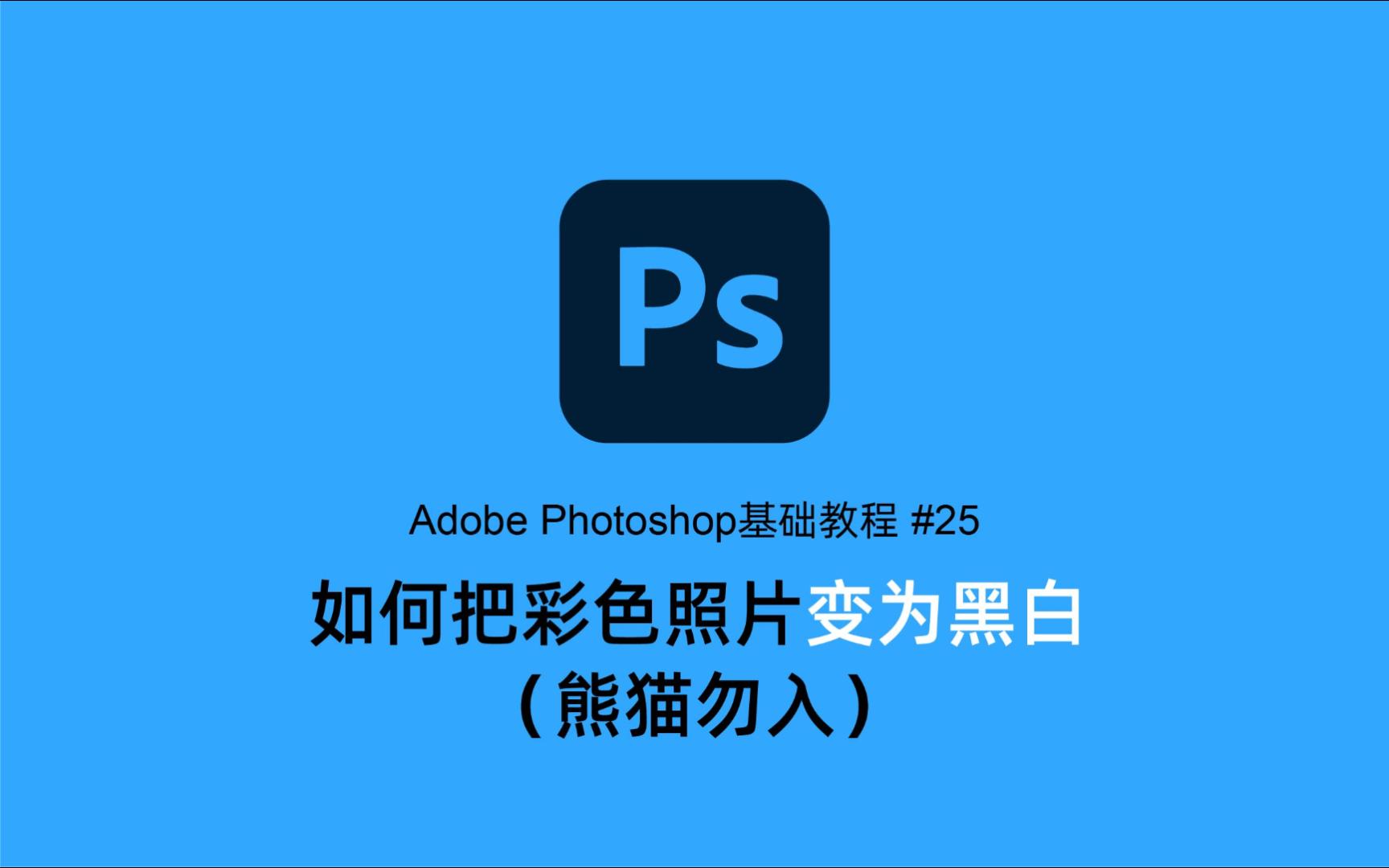 Adobe Photoshop基础教程 #25:如何把彩色照片变为黑白(熊猫勿入)哔哩哔哩bilibili