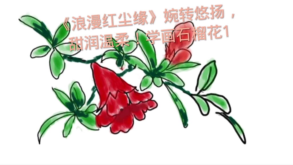 [图]《浪漫红尘缘》婉转悠扬，甜润温柔！学画石榴花1