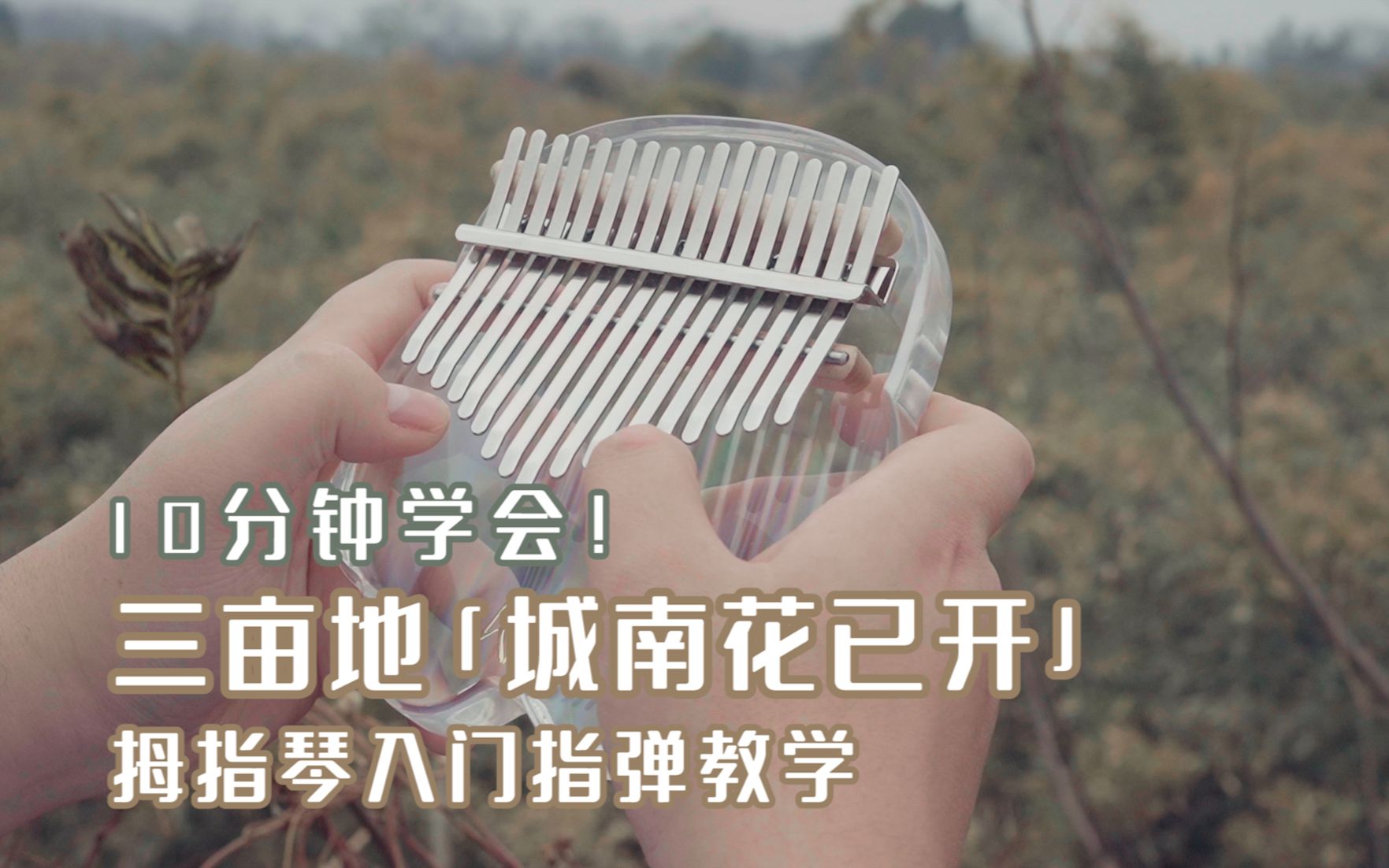 拇指琴教学超简单三亩地的城南花已开卡林巴教学新手向