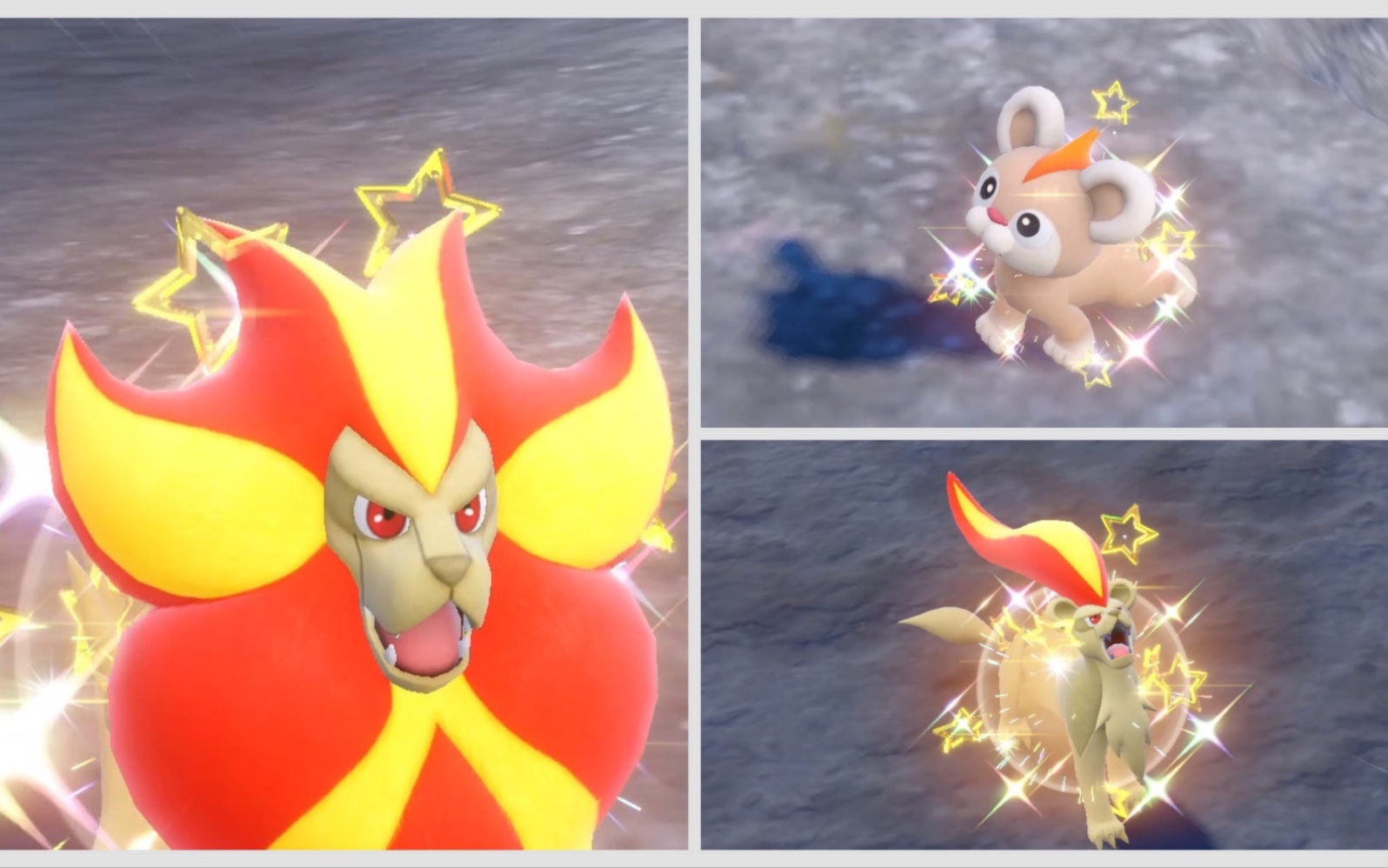 「朱紫」一家三口的火狮子:闪光火炎狮一家get!朱紫路闪no.54