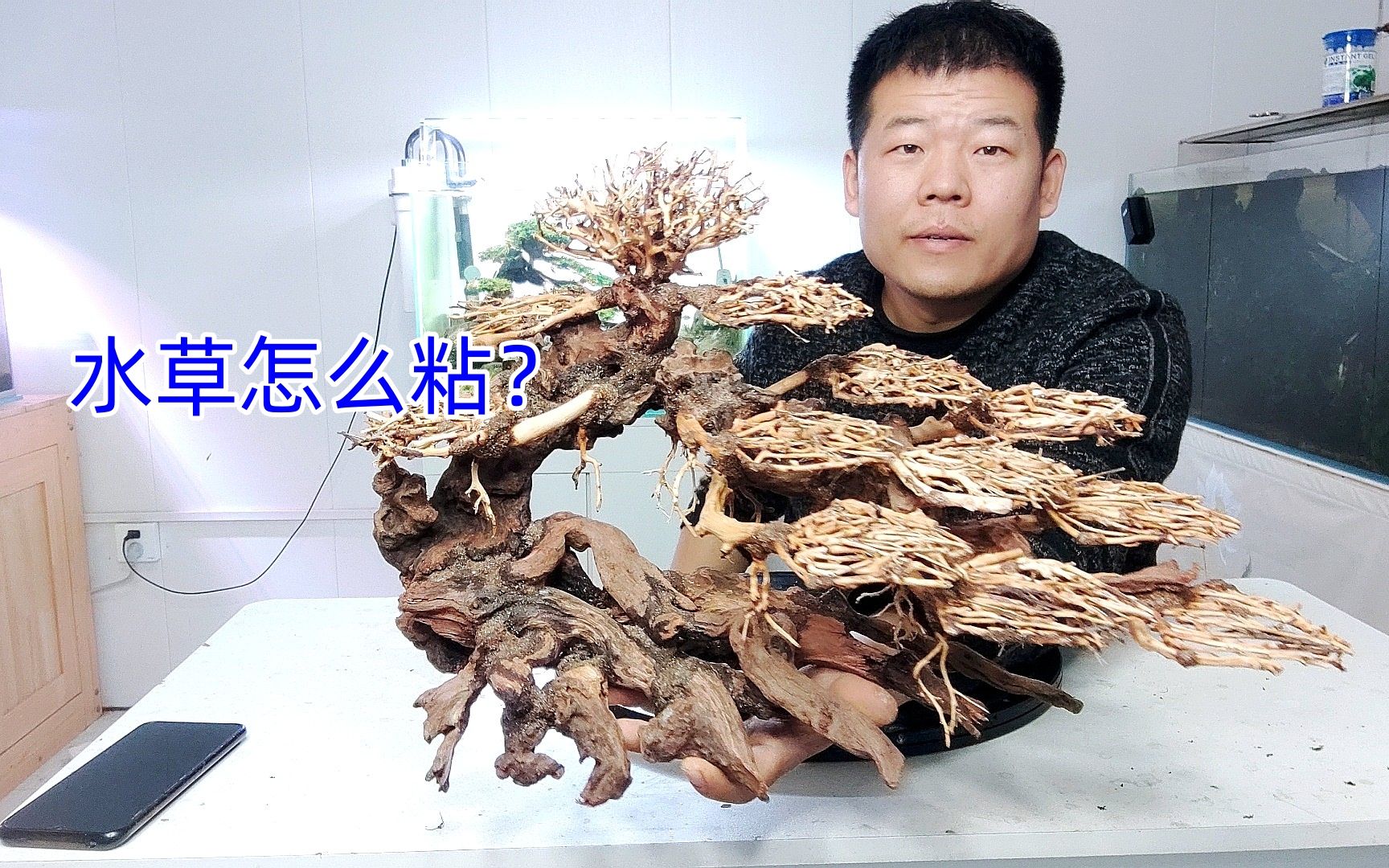 莫斯树造景,不会粘是水草怎么办,这个视频一看就会了