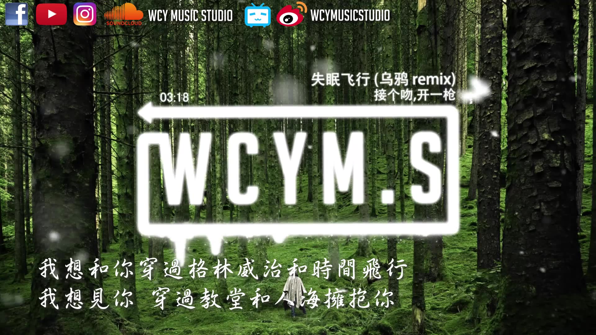 接个吻,开一枪-失眠飞行 (乌鸦 remix)【動態歌詞/lyrics video】