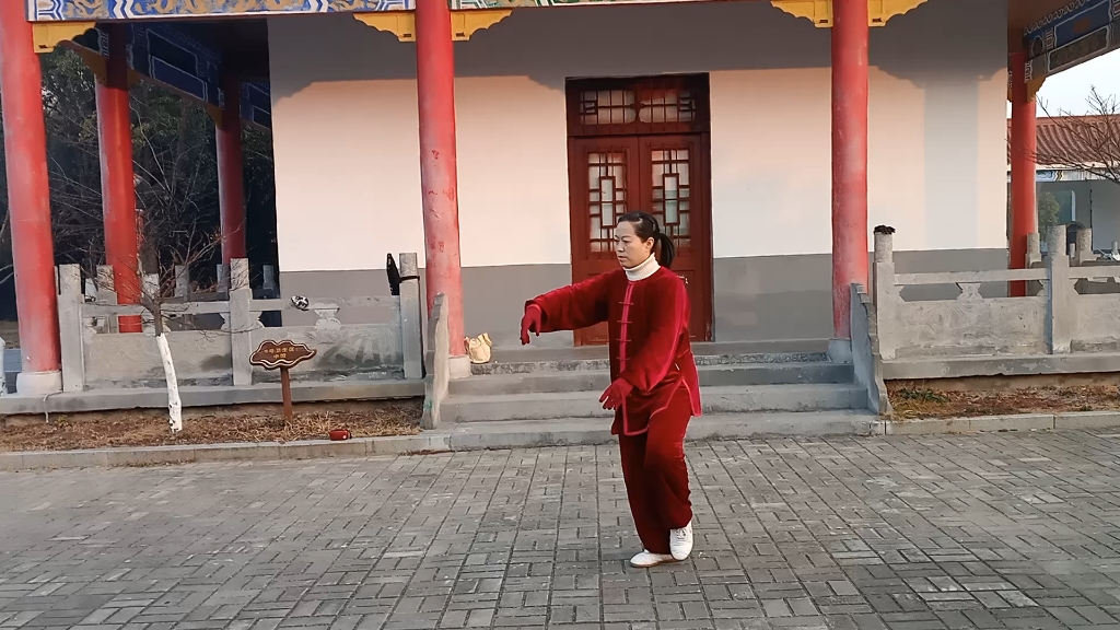 杨式42式太极拳