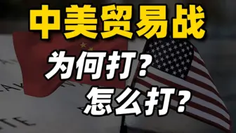 【清华大学靳卫萍】中美贸易战，关键矛盾在哪里？