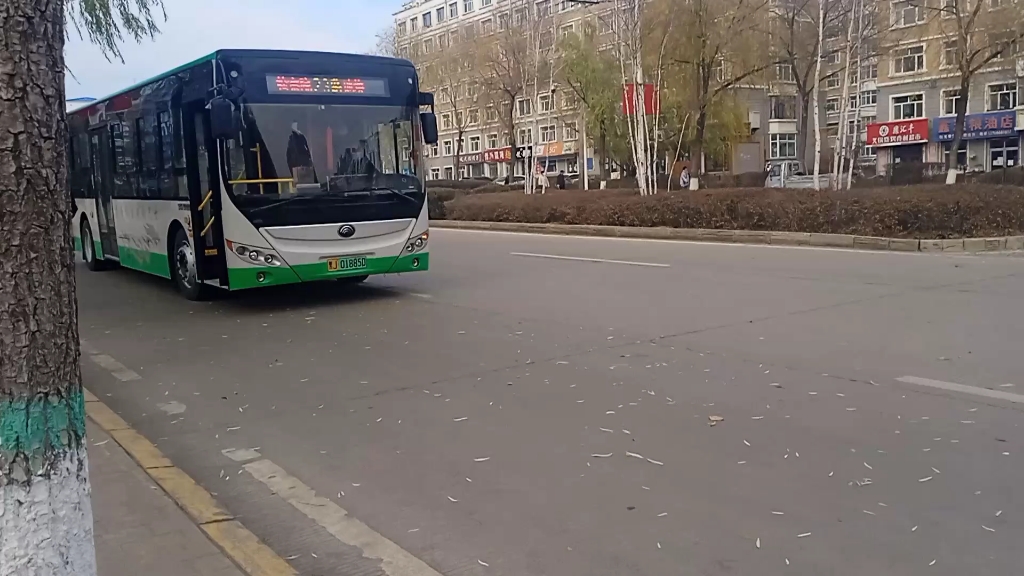 双鸭山龙安公交23路&25路[拍摄站:南山市场]