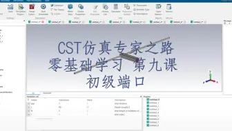CST2022版零基础9 - 初级端口