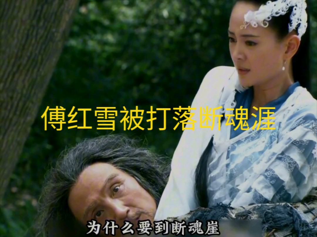 傅红雪竟然打不过霸王刀,还被打落悬崖,遇见绝世高手烟波天客