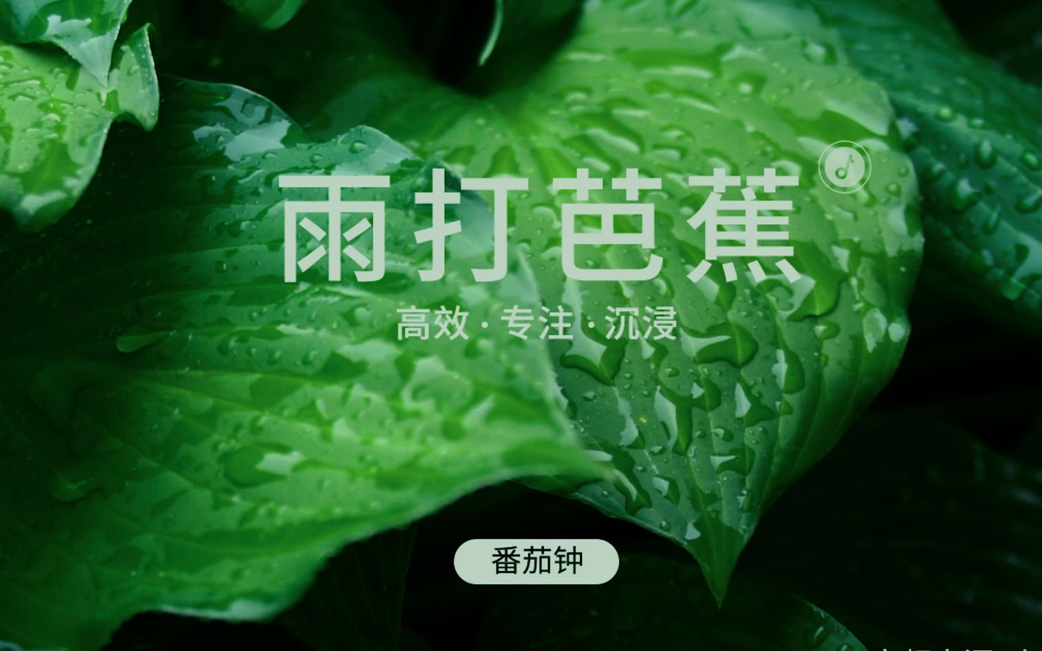 [图]?【洗耳白噪音】 | 一个番茄钟 | 雨打芭蕉