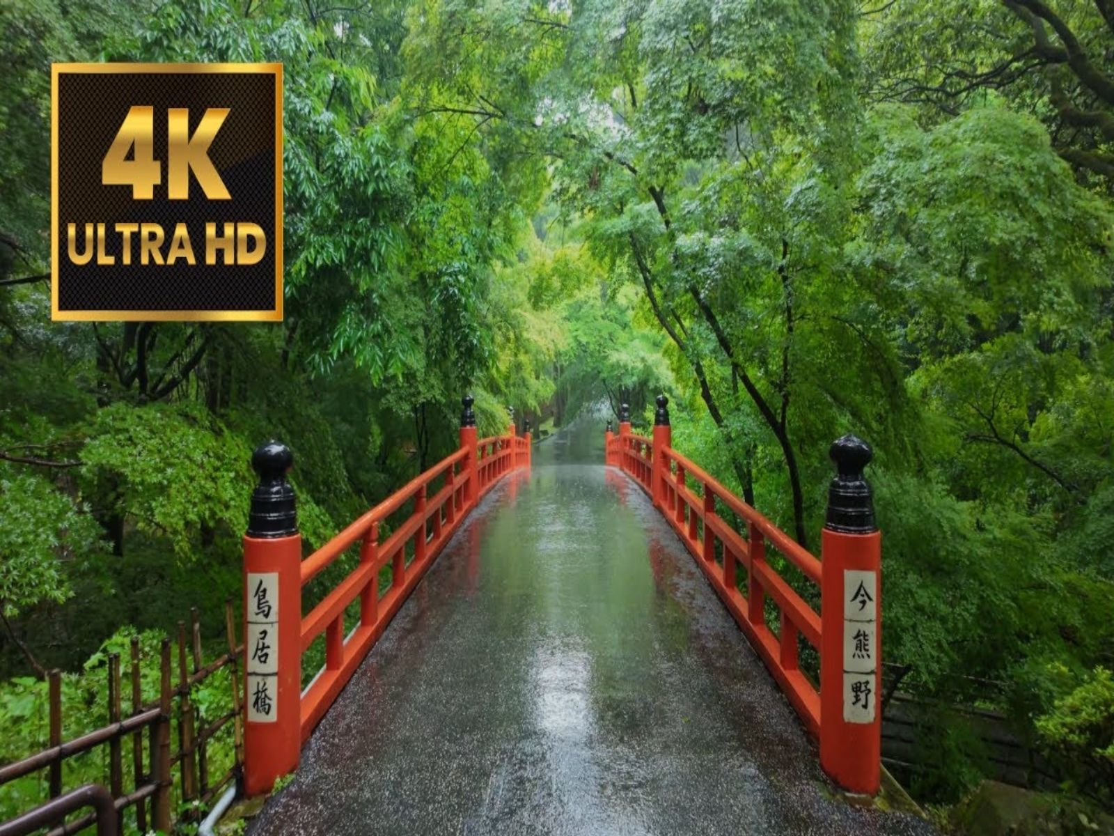 【日本巡礼高清4K】京都 今熊野観音寺 春雨 | Imakumano Kannonji Spring Rain哔哩哔哩bilibili