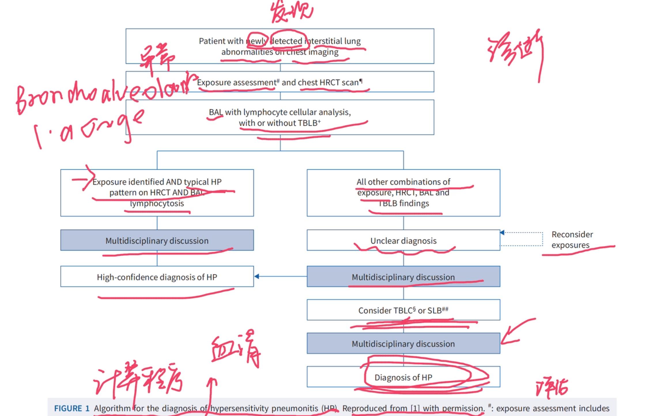 一起读英文文献吧【呼吸系统】【医学文献】day6 坚持!哔哩哔哩bilibili