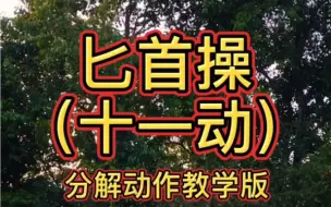 Download Video: 《匕首操十一动》（教学版）