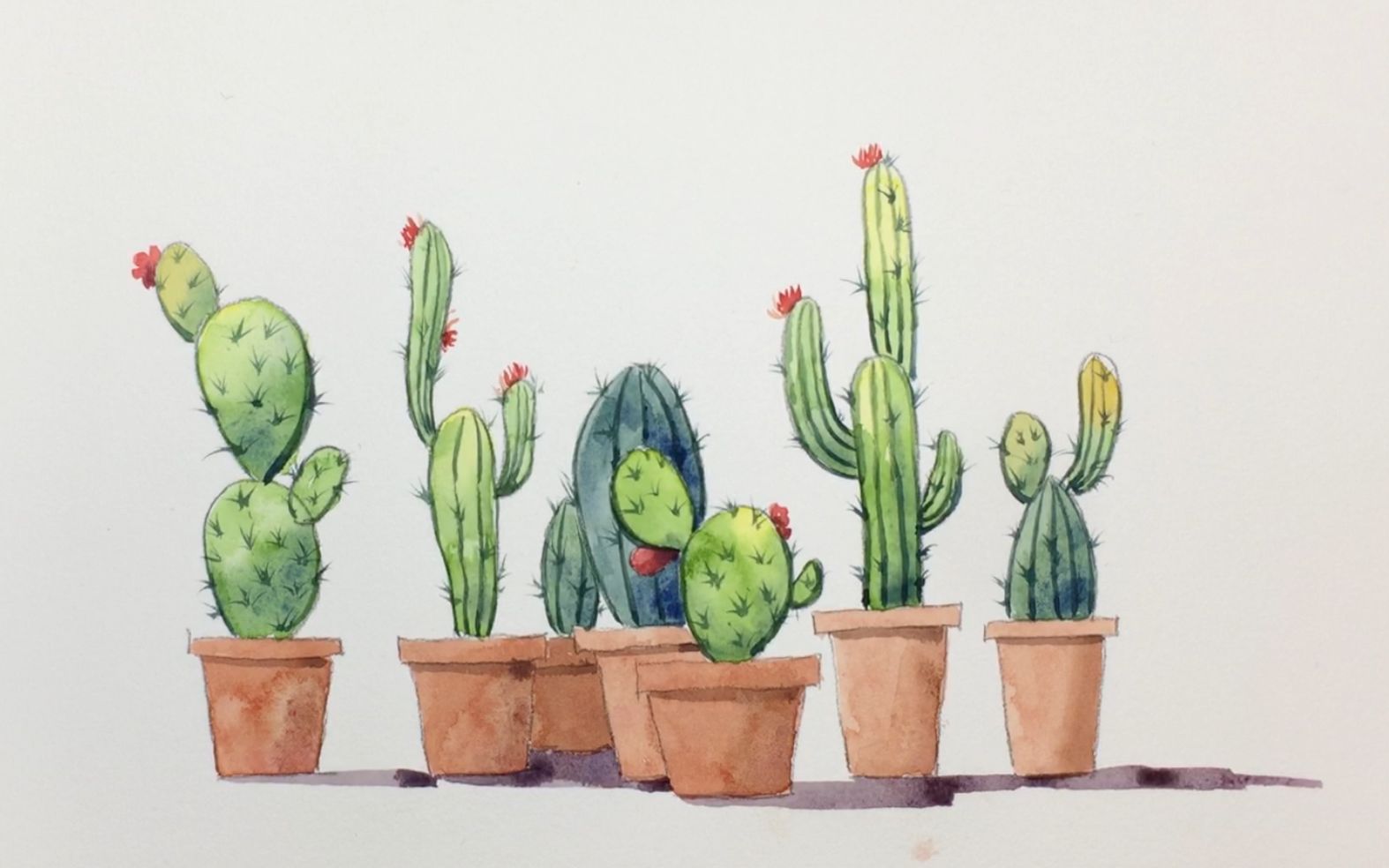 零基础水彩,超简单仙人掌_哔哩哔哩_bilibili