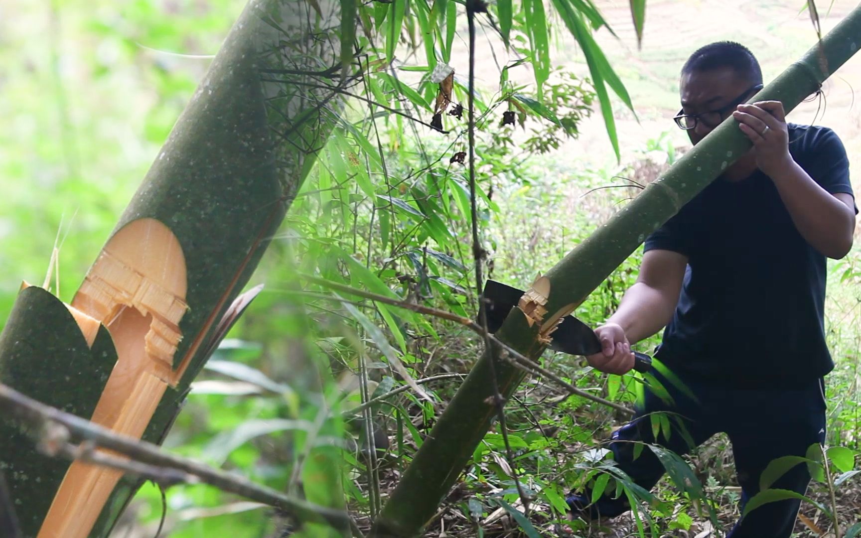 想亲自动手做次竹筒饭,先砍棵竹子抬回家剩下的慢慢再研究吧!