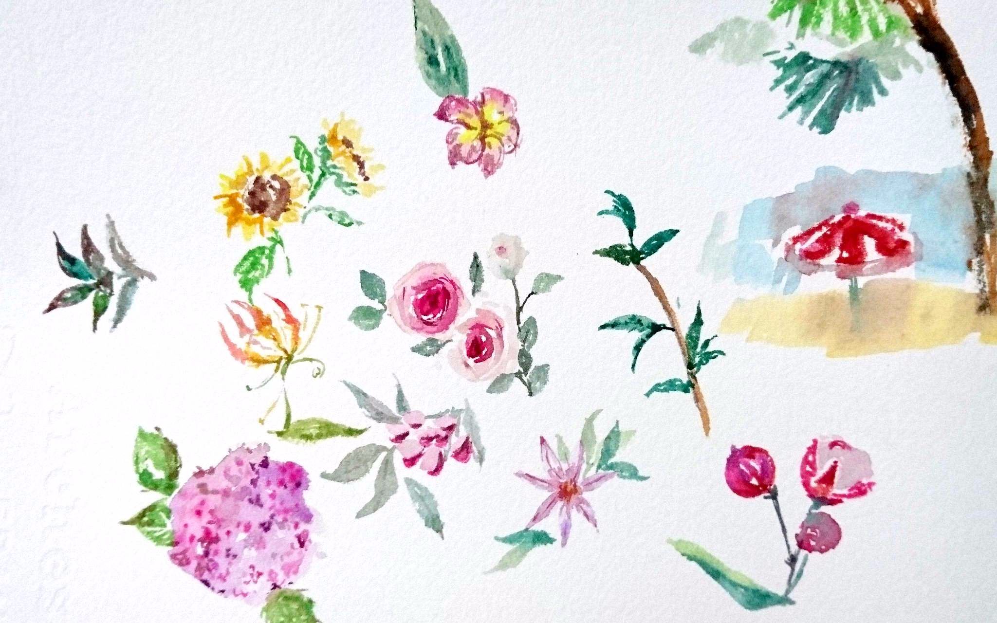 【水彩手绘】还是各种画花花(阿诗纸真的好好用哦~)