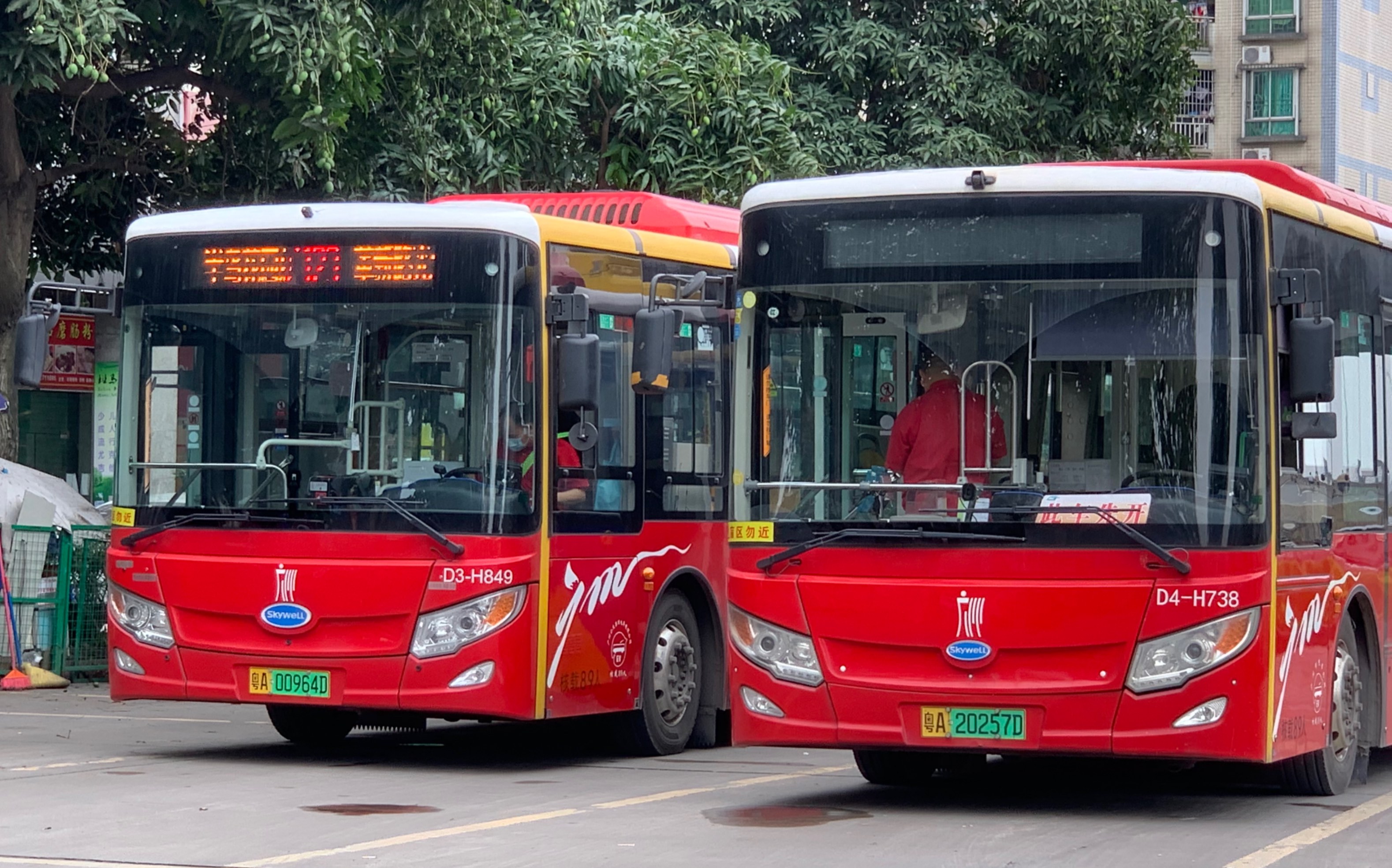 【广佛同城】【跨市线路】广州公交123路pov 半岛花园～革新路(光大