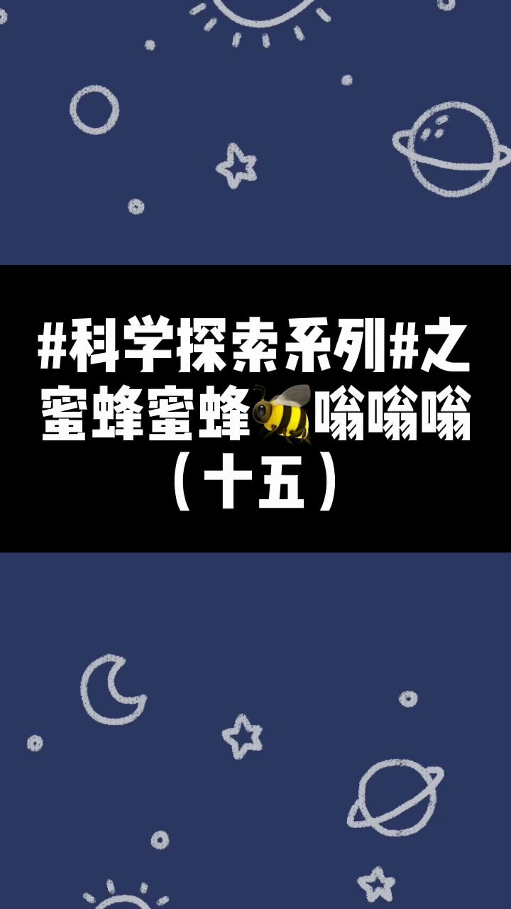 科学探索系列|你知道吗,蜜蜂的翅膀一秒钟振动竟超200次?!哔哩哔哩bilibili