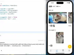 下载视频: iOS开发 - SwiftUI 实战分享04: 登录, Token, Alamofire图片上传...