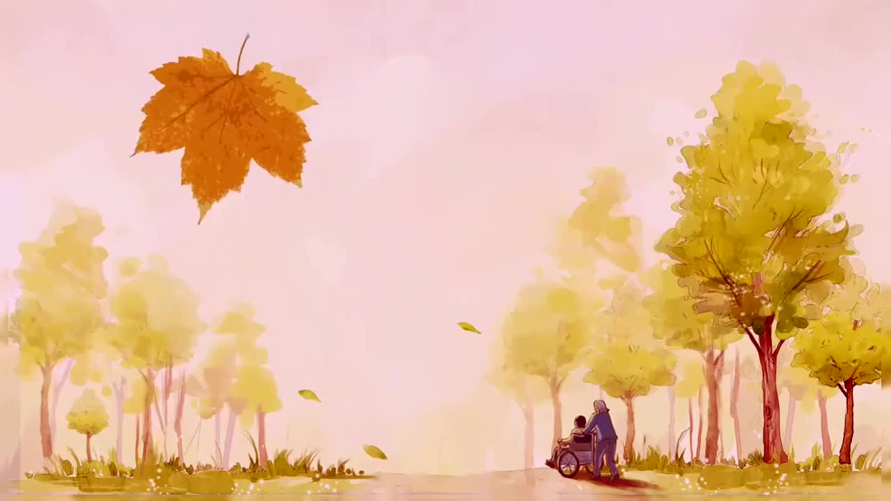 5课《秋天的怀念》导入课七年级语文初中