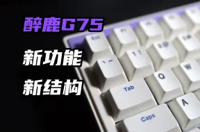 下载视频: 醉鹿全新磁轴键盘G75紫罗兰发售！新功能RT-Plus 新结构 超低延迟 无畏契约 CS2