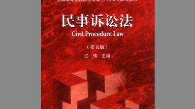 新民事诉讼证据规定》理解与适用PDF电子版_哔哩哔哩_bilibili