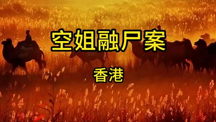 【普法节目】香港空姐融尸案哔哩哔哩bilibili