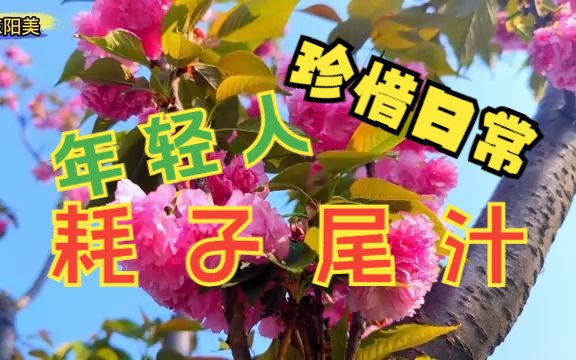 [图]生活处处是美景，在孤独中坚强前行，终能摆脱现状！《黄金印》婺剧民间演唱