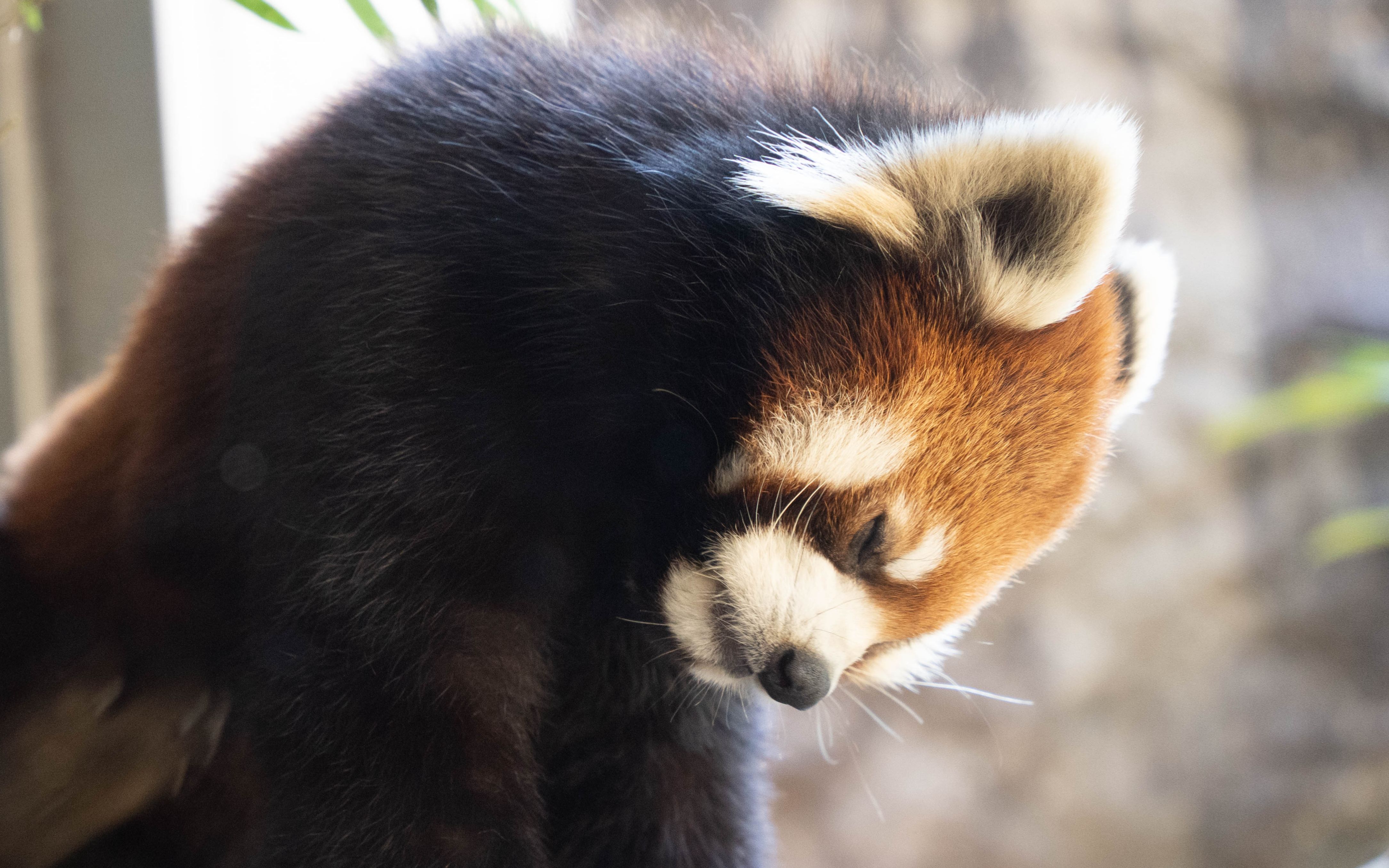 20220223横浜动物园zoorasia