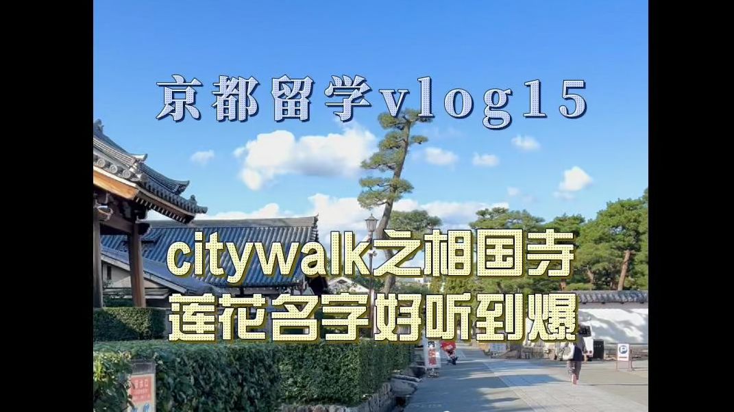 vlog15citywalk之相国寺莲花名字好听到爆哔哩哔哩bilibili