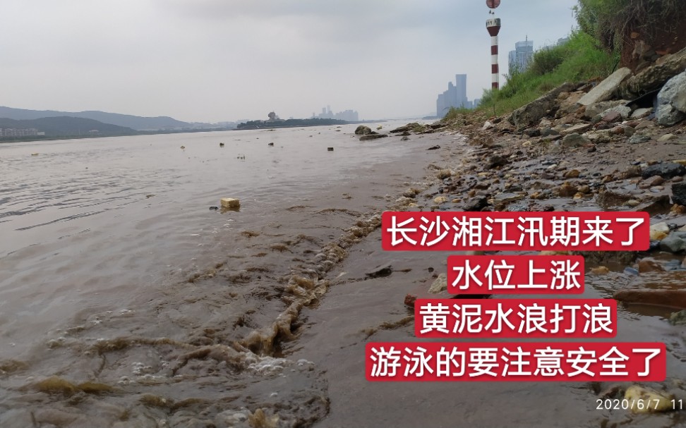 [图]长沙湘江汛期来了，水位上涨，黄泥水浪打浪，游泳的要注意安全了