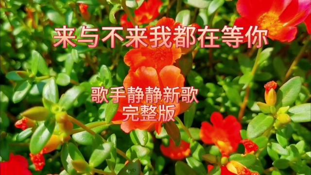 [图]#歌手静静新歌来与不来我都在等你#越过夏天漫步秋天#赏花听歌美景如画