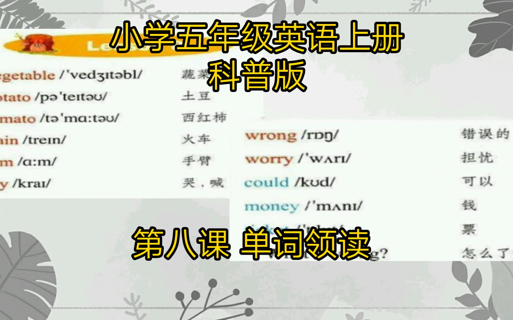 小学五年级上册英语(科普版)――第八课 单词领读哔哩哔哩bilibili