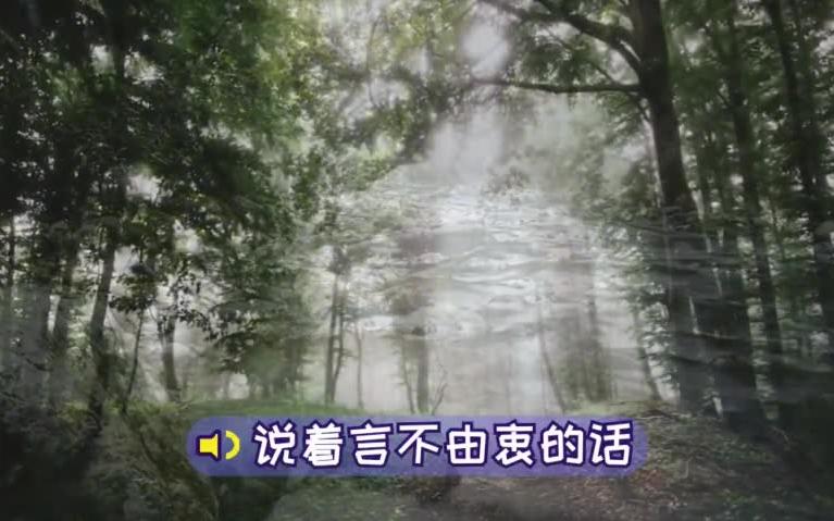 文学与朗读散文:我懂你的口是心非哔哩哔哩bilibili