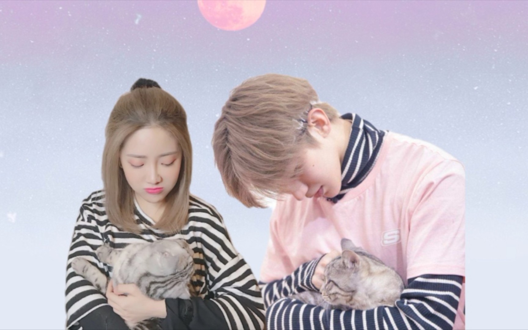 [延续cp][喻言蔡徐坤]口号