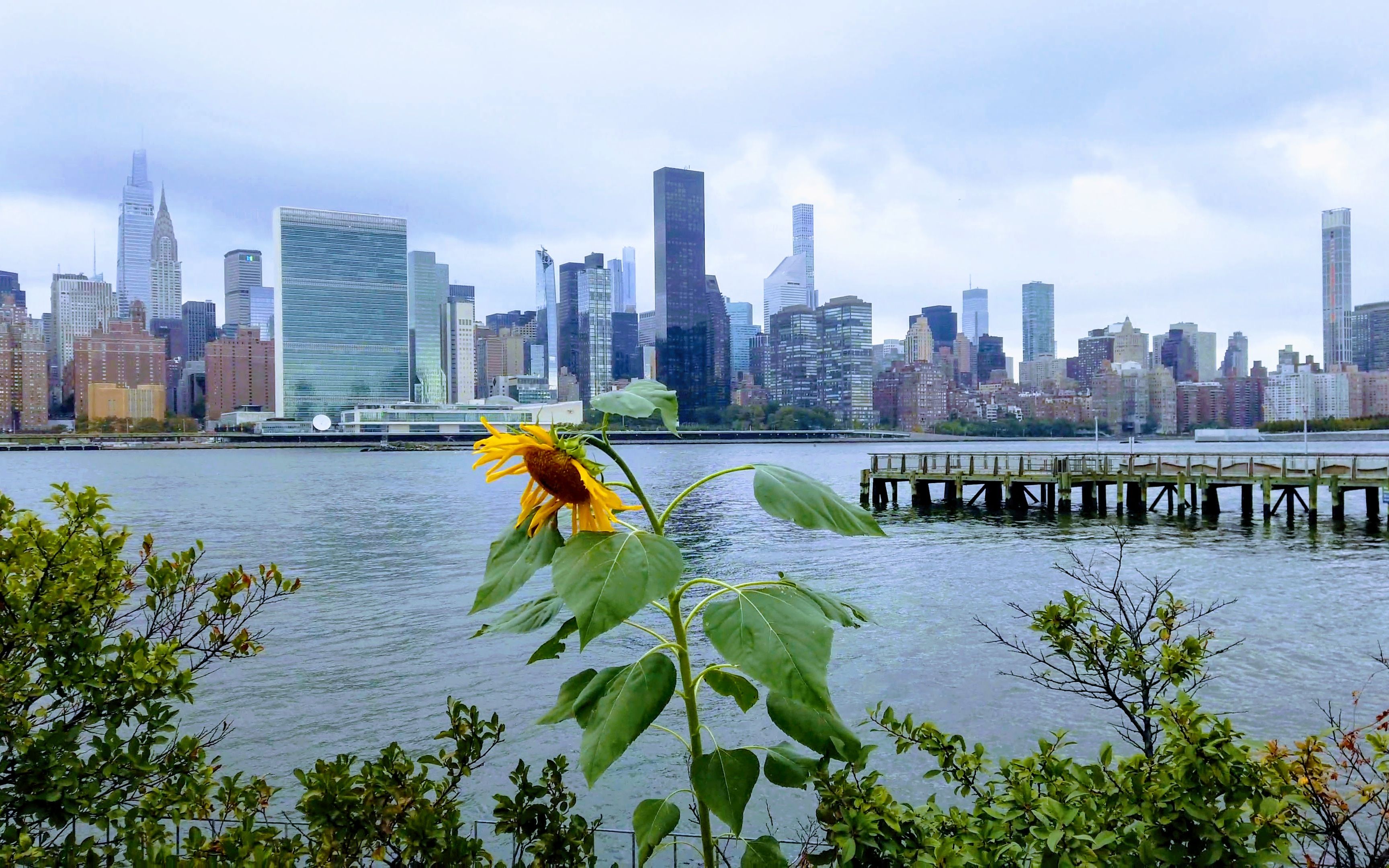 纽约皇后区长岛市河边公园散步08观曼哈顿天际线-2021.10